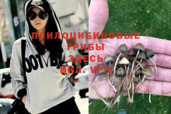 ешки Нягань