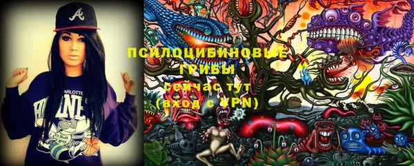 mdpv Няндома