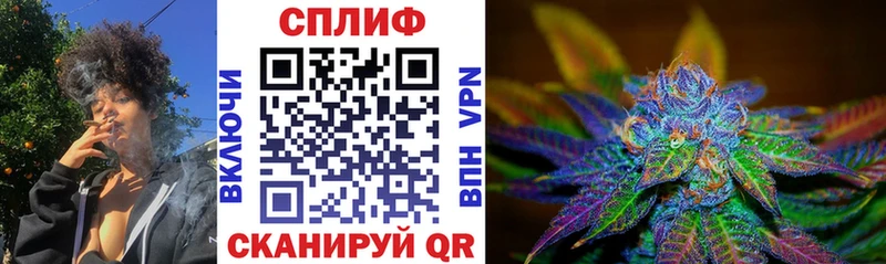 Конопля SATIVA & INDICA  Хадыженск 